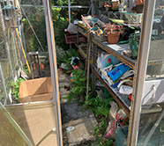 Greenhouse Before